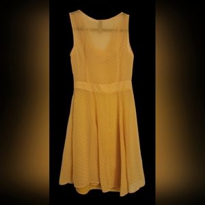 Yellow polka-dot sheer lace mini dress